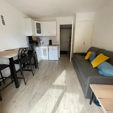 Cosy Aux Deux Alpes Pour 4 Pers Avec Parking Et Casier à - Fr-1-516-219 Appartement *